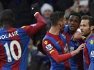 Fotbalisté Crystalu Palace se radují z tetího gólu, který Newcastlu vstelil...