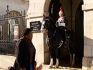 U budovy Horse Guards na vládní tíd Whittehall stojí kadý den od 10 do 16...