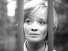 Jana Brejchová ve filmu Vyí princip (1960)