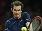 Britský tenista Andy Murray v duelu s Davidem Goffinem z Belgie ve finále Davis...