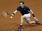 Britský tenista Andy Murray v duelu s Belgianem Davidem Goffinem ve finále...