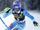 árka Strachová na trati nedlního slalomu v americkém Aspenu.