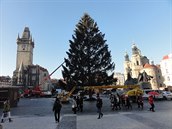 Příprava vánočního smrku a trhů na Staroměstském náměstí.