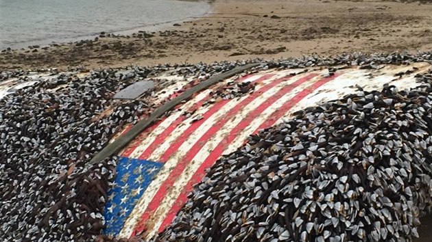 Kus pláště označený americkou vlajkou byl pokrytý svijonožci. Tito korýši se jinak usazují na mořských skalách nebo molech