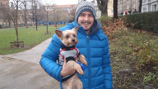 Venení ps v Praze (ilustraní foto).