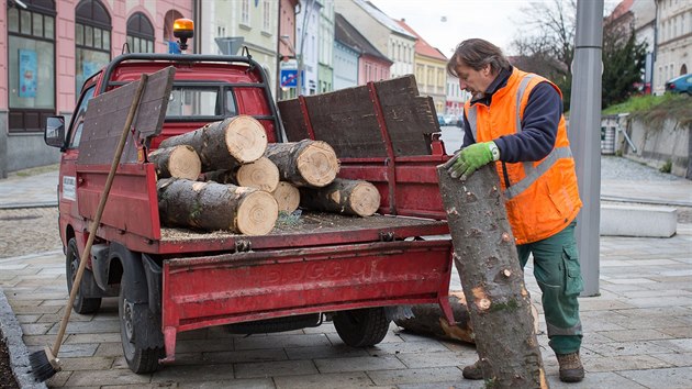 Z vnon strakonick jedle zbyly palky.