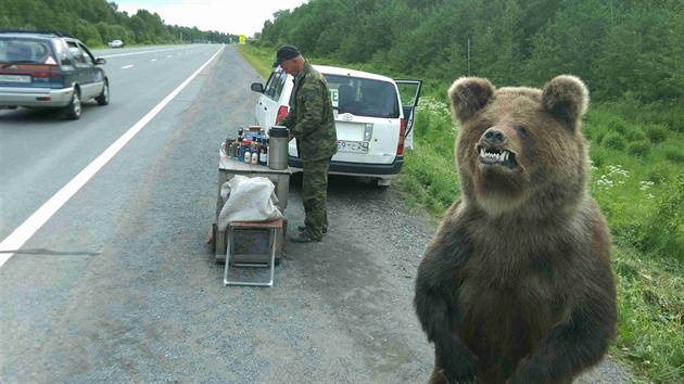 Vycpaný medvd na východoruské silnici.