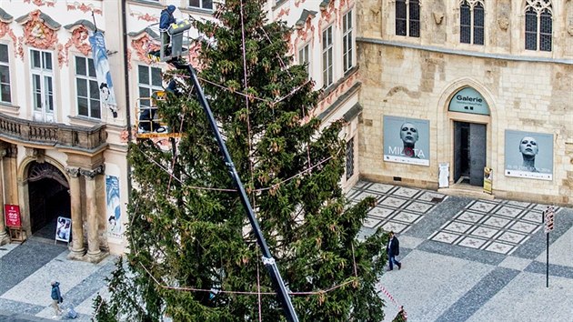 Vnon strom Na Staromstskm nmst je u ozdoben (25.11.2015).