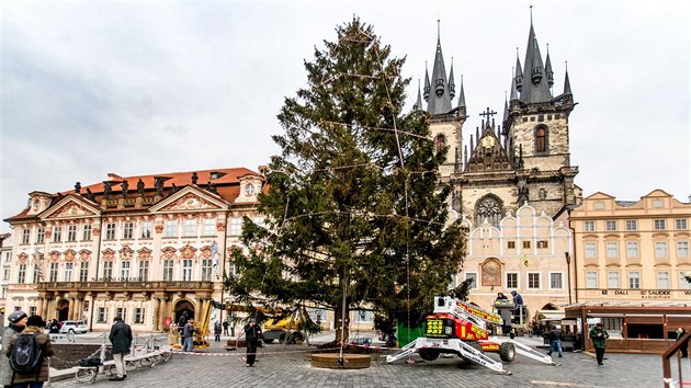 Vánoční strom Na Staroměstském náměstí je už ozdobený (25.11.2015).
