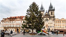 Vánoní strom Na Staromstském námstí je u ozdobený (25.11.2015).