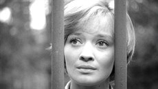 Jana Brejchová ve filmu Vyí princip (1960)