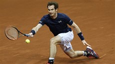 Britský tenista Andy Murray v duelu s Belgianem Davidem Goffinem ve finále...