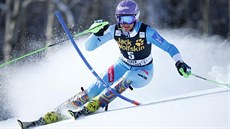 árka Strachová na trati nedlního slalomu v americkém Aspenu.