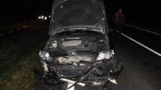 Kv�li st�etu s divo�ákem bourala celkem �ty�i auta (21. 11. 2015).