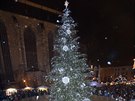 Rozsvícení vánoního stromu na námstí Republiky v Plzni. (29. listopadu 2015)