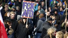 Demonstrace proti sjezdu AfD v Hannoveru (28. listopadu 2015)