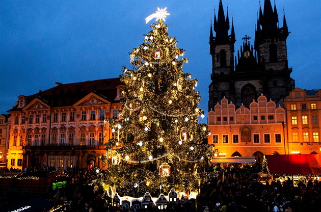 Anketa o nejkrásnější vánoční strom v Česku