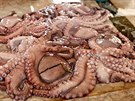 Syrová chobotnice ze Stedozemního moe. Pokud ji koupíte v esku, z 99 procent...