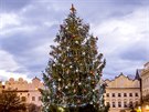 Anketa o nejkrásnjí vánoní strom v esku