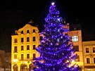 Anketa o nejkrásnjí vánoní strom v esku