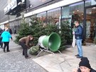 Prodej vánoních stromk u zaal.