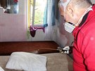 P��pravkem proti �t�nic�m v�dy deratiz��i nejpe�liv�ji o�et�uj� postel, v n� a...