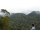 Původní tropický deštný les, nejbohatší a nejunikátnější ekosystém na světě,...