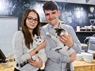 Host�m hradeck� kav�rny Cats & Coffee sk��e po stole Lucie B�l� nebo v kl�n�...