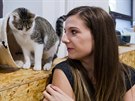 Host�m hradeck� kav�rny Cats & Coffee sk��e po stole Lucie B�l� nebo v kl�n�...
