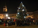 V Tebíi se v sobotu rozsvítil vánoní strom, patnáctimetrová douglaska (5....