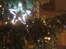 V Tebíi se v sobotu rozsvítil vánoní strom, patnáctimetrová douglaska (5....