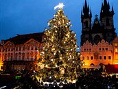 Anketa o nejkrásnější vánoční strom v Česku