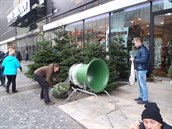 Prodej vánočních stromků už začal.
