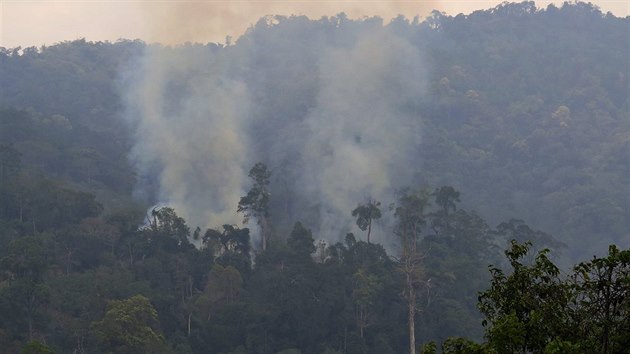 Požáry pralesů na Borneu..