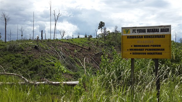 Ukázka toho, jak v Indonésii nefungují zákony a policie: na ceduli je napsáno „chráněné území, je zde zakázáno kácet stromy, zabíjet zvířata a stavět obydlí“. Ale za cedulí už moc stromů nezbylo.