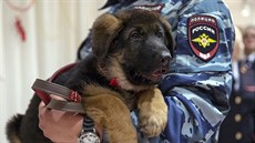 Ruská policie v pondělí večer předala francouzskému velvyslanci štěně, které má...