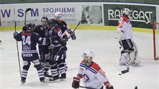 Momentka ze zápasu 1. hokejové ligy mezi Tebíí a Benátkami.