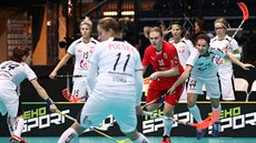 Momentka z duelu �esko vs. Polsko (bílá)