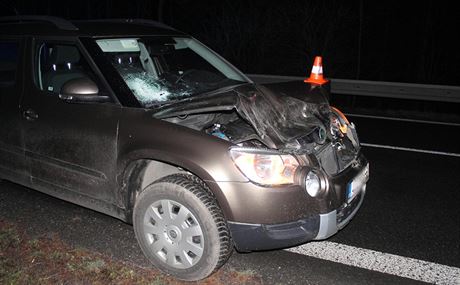 Auto po sráce s jelenem. Ilustraní snímek