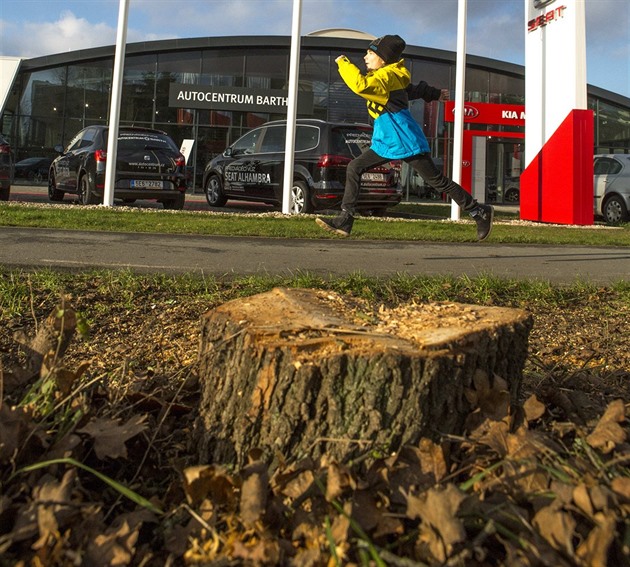 Prostranství p�ed autocentrem bez pokácených strom�.