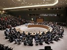 Zasedání Rady bezpenosti Organizace spojených národ (17. prosince 2015)