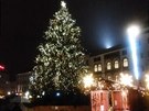 Vánoní strom v Olomouci