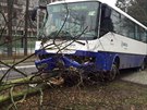 Autobus narazil do stromu
