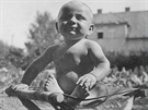 30.8.1942 - Malý Reini na zahrad