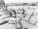20.8.1944, poslední spokojené léto v okupované zemi. Reini na koupaliti...