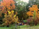 Podzimní panorama