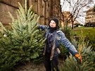 V Praze zaal prodej vánoních stromk. Prodejci na námstí Míru prodávali ji...
