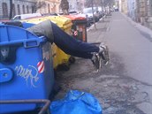Vinohrady/ikov, Boivojova ulice: Dnes jsem na ulici nael tohoto chlápka...