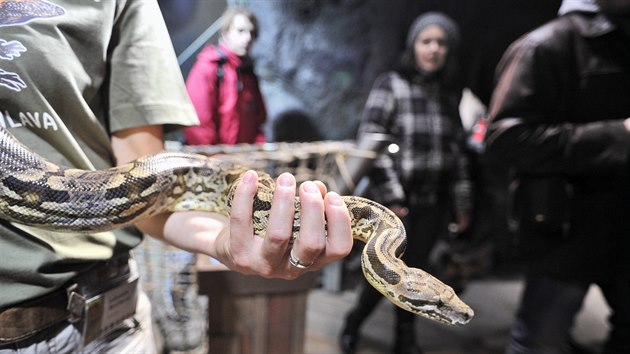 V jihlavsk zoo oteveli o uplynulm vkendu tropick pavilon.