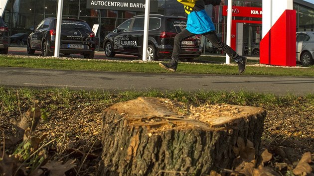 Prostranstv ped autocentrem bez pokcench strom.